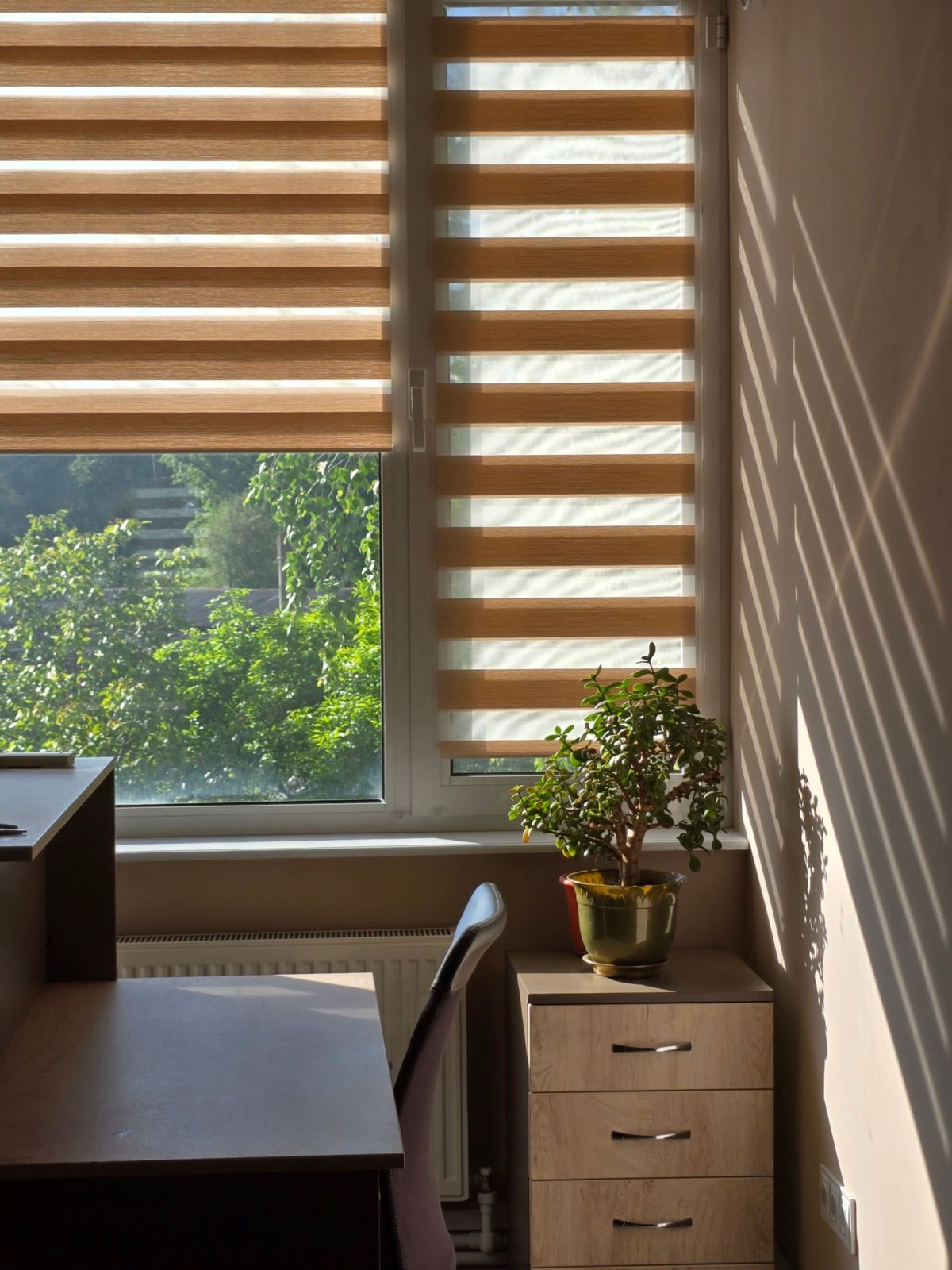 Integrated Blinds